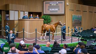 Curlin Power Delivers 5 Million Colt at Keeneland September Yearling [upl. by Johannes]