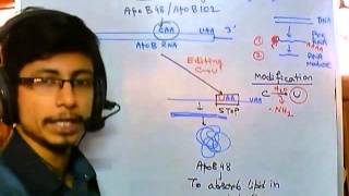 RNA editing mechanism [upl. by Noll]