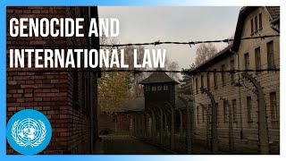 How Genocide Became Part of International Law  United Nations [upl. by Walworth896]