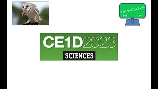 CE1D 2023 Sciences  question 3  corrigé [upl. by Dranek]