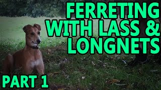 Ferreting Rabbits With Lass amp Longets part 1  Working Lurcher [upl. by Accemahs960]