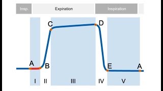 elearning Basics of Capnography [upl. by Klockau]