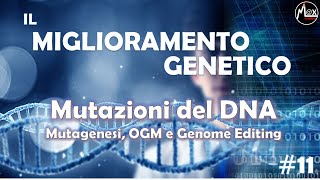 Mutazioni del DNA  Il Miglioramento Genetico 11 [upl. by Lindo524]