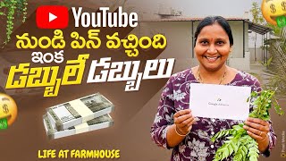 YouTube నుండి పిన్ వచ్చింది పార్టీ చేసుకుందామా😊 Thank you for 3K subscribers  Life at Farmhouse [upl. by Steinway]