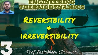 35  Reversibility and Irreversibility [upl. by Gwyneth139]