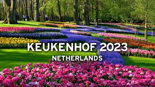 🇳🇱 Keukenhof April 30 2023  Netherlands 4K [upl. by Gusba]