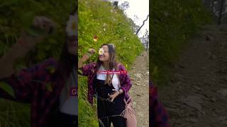 Gilbert Trail Kasauli rastedaari subscribe trending youtubeshorts ytshorts nature walk love [upl. by Elladine]