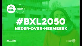 BXL2050  NederOverHeembeek NL [upl. by Wailoo196]