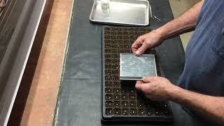 Planting pelleted letuce seed with the IMP 16128P [upl. by Asirralc264]