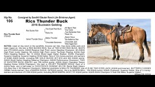 Pitzer Ranch Spring Sale 2024 Lot 106 RICS THUNDER BUCK [upl. by Kahn]