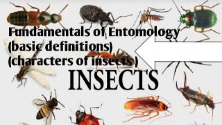 Introduction to Entomologybasic definitionscharacteristics of arthropodscharacters of insects [upl. by Christie]