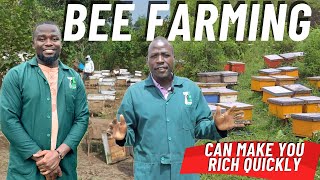 BeeKeeping Can Make You Rich In Six Months Here are Tips On How To Start [upl. by Glanville]