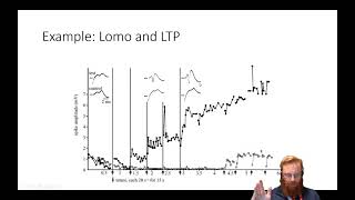 Electrophysiology 6  Interpretation of Extracellular data [upl. by Joon]