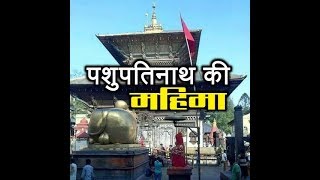 Pashupatinath Temple What is the History And Story Behind it  ABP News [upl. by Nnylanna]