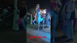 कैसा हैbundeli ghoda dans घोड़ा डांस Ghoda Nach Ghoda Dans [upl. by Akihc]