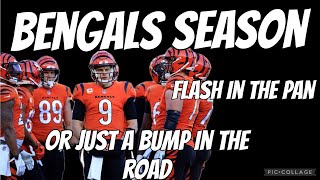 Bengals season flashing the pan or bump in the road [upl. by Arela]