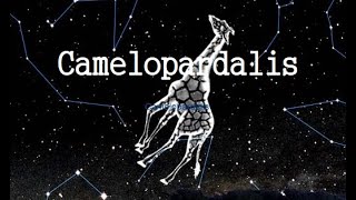 The Camelopardalis constellation Information history [upl. by Leima]