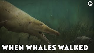 When Whales Walked [upl. by Burkhart581]