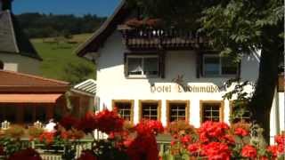 Hotel Ludinmühle Freiamt im Schwarzwald [upl. by Haidabez290]