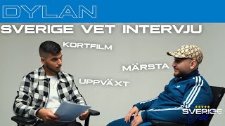 SVERIGE VET DYLAN INTERVJU [upl. by Hilliary]