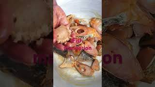 fish marination village cooking youtuber subscribe viral youtubecontent [upl. by Rasia821]