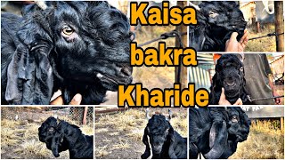 Vlog 1001  BAKRA KHARIDNE SE PEHAILE YE ZARUR YAAD RAKHANA  PALAI OPEN FOR ALL  MOHSIN KHAN [upl. by Asta]