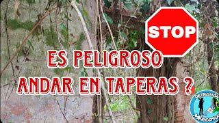 DESCUBRE LOS MISTERIOS DE LAS TAPERAS [upl. by Adnilre]