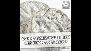 Camembert maroilles etc Connaissezvous bien les fromages AOP [upl. by Rheba]