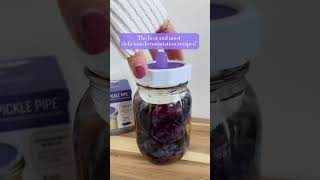 What Makes Masontops Special  Delicious amp GutHealthy Fermentation Recipes shorts fermentation [upl. by Imtiaz]