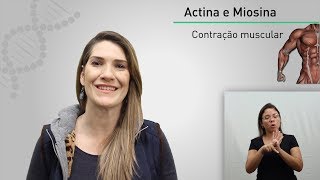 Actina e Miosina  Glossário de Biologia  Prô Jaque [upl. by Svensen]