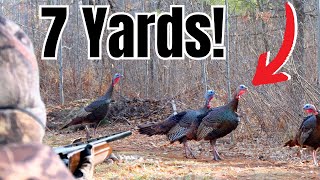 Turkey Hunting at Close Range During Wisconsins Youth Turkey Season [upl. by Spracklen]