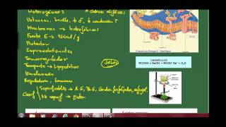 Biología 3 Los lípidos Ap 1 Características tipos y propiedades Los ácidos grasos [upl. by Eecrad232]