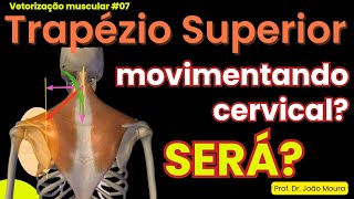 TRAPÉZIO SUPERIOR COMO ELE MOVIMENTA A CERVICAL Vetorização Muscular 08 [upl. by Pacificas]