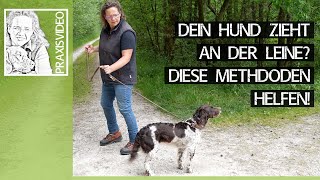 Dein Hund zieht an der Leine ➡️ Diese Methoden können Dir helfen ➡️ Praxisvideo ✔️🐕🐩🐶 [upl. by Grannie]