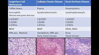 CNS Histiocytosis Langerhans Erdheim Chester Rosai Dorfman ALK [upl. by Debbi]