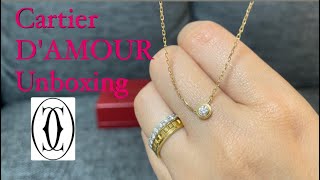 Cartier  DAMOUR Necklace  Jewelry Unboxing myfavoritethings1567 [upl. by Bissell]