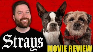 Strays  Movie Review [upl. by Nilre]