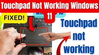 Fix Touchpad Not Working How To Fix Touchpad Windows 11 [upl. by Auqinimod]