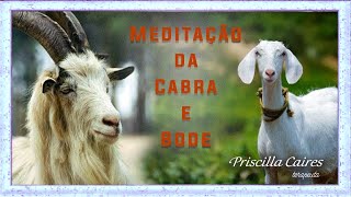 Meditação da Cabra BodeCapricórnio [upl. by Beeck]