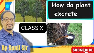 Five Ways By Which Plants Excrete Out Metabolic Wastescbse cbseclass10biology cbsebiology exam [upl. by Ordnassela]