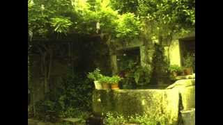 Mendelssohn  Lieder Ohne Worte Op85 No1 [upl. by Handbook142]