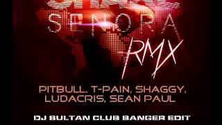 SHAKE SENORA  PITBULL TPAIN SHAGGY LUDACRIS SEAN PAUL DJ SULTAN CLUB BANGER EDIT [upl. by Placeeda728]