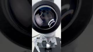 Natto mucus magnified 400 times is surprisingshorts fyp science microscope shortsvideo [upl. by Dyoll]