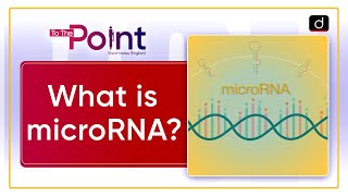 Nobel Prize 2024  Medicine  microRNA  To The Point  Drishti IAS English [upl. by Leone821]