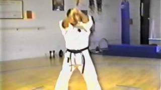 Power Training of Goju ryu [upl. by Enialb]