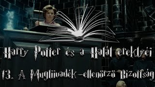 Harry Potter és a Halál ereklyéi hangoskönyv  13 fejezet [upl. by Notseh]