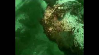 Diving the Ascania Wreck Newfoundland Canada [upl. by Ash783]