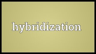 Hybridization Meaning [upl. by Krein]