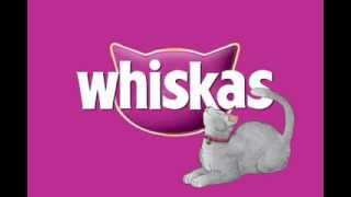 WHISKAS Animated spot Gary Q [upl. by Marrilee288]