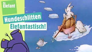 Der kleine Eisbär und das Hundeschlittenrennen amp Rätselfilm Brille Der Elefant  WDR [upl. by Avle]